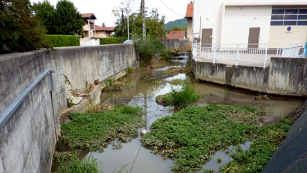 A Eybens, le bassin du Verderet avant le curage de la végétation aquatique.. Image Le Sonnant et le Verderet en chantier